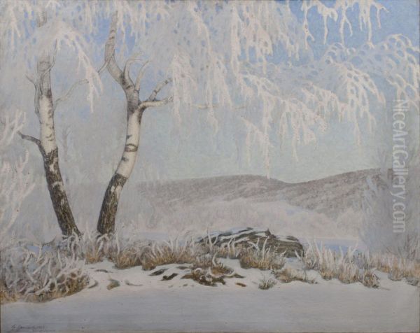 Rimfrost i sol - view 1