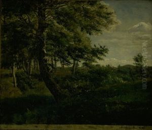 Orsbjerg Forest at Aarup, Funen