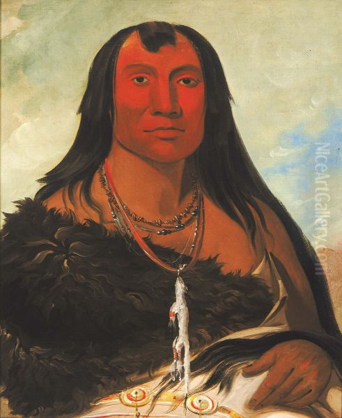 Chah-ee-chopes, Four Wolves, a Chief in Mourning - view 1