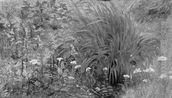 Wild Plants and Grass - view 1