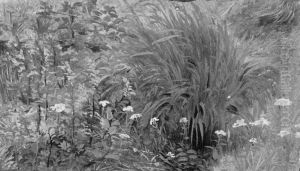 Wild Plants and Grass