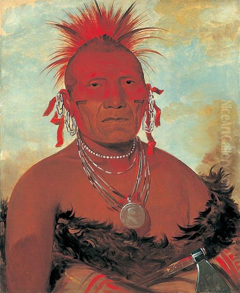 Shon-ka-ki-he-ga, Horse Chief, Grand Pawnee Head Chief - view 1