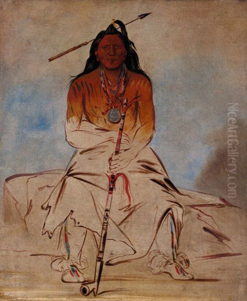 Ah-shaw-wah-rooks-te, Medicine Horse, a Grand Pawnee Brave - view 1