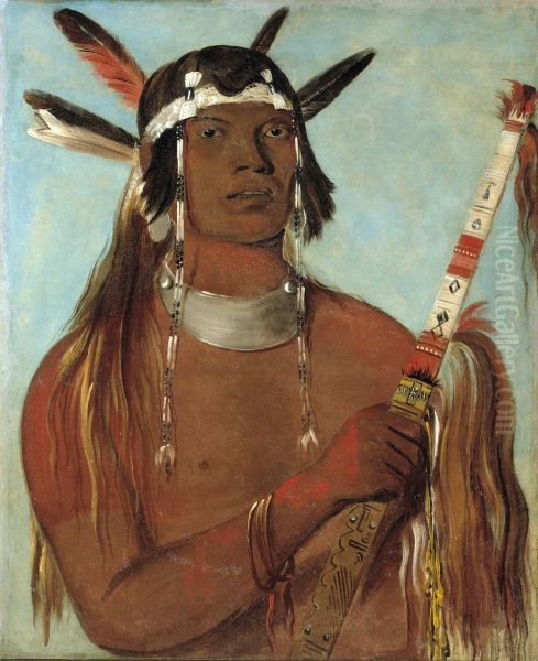 Seehk-hee-da, Mouse-colored Feather, a Noted Brave - view 1