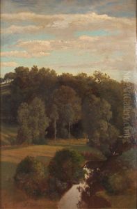 Wooded Hills behind a Meadow with a Peat Bog