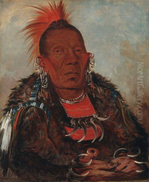 Wah-ro-nee-sah, The Surrounder, Chief of the Otoe Tribe - view 1