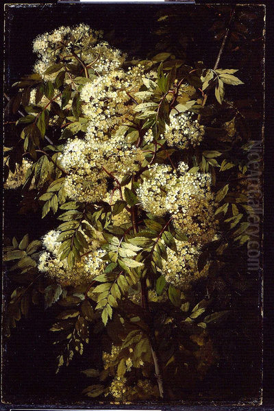 Study of a Flowering Branch - view 1