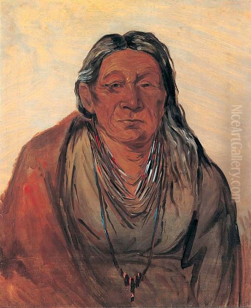 Wah-pe-seh-see, Mother of the Chief - view 1