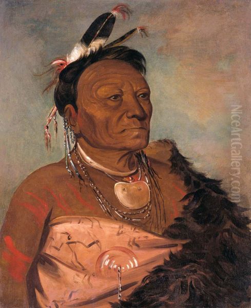 Wee-ta-ra-sha-ro, Head Chief of the Tribe - view 1