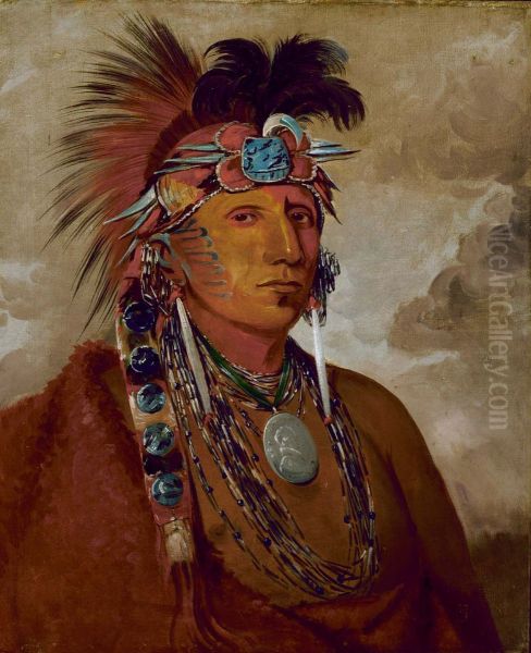Sho-me-kos-see, The Wolf, a Chief - view 1