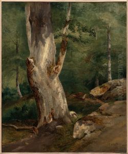 Old Beech Tree by Jean-Baptiste Camille Corot