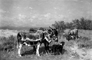 Donkeys in a Meadow Donkeys in a Meadow