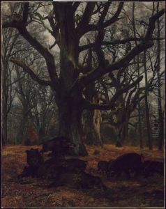 Oaks and Wild Boars