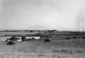 Landskape near Stavnsholt, Zealand. Summer Evening