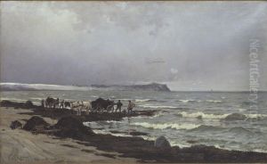 Der laesses tang ved Hornbaek Strand. by Carl Locher