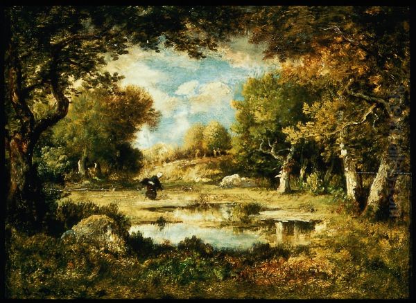 Clearing in the Forest - view 1