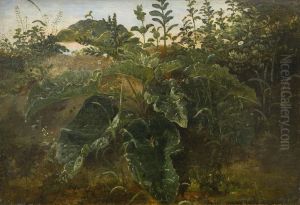 Foreground Study with Dock Leaves Foreground Study with Dock Leaves