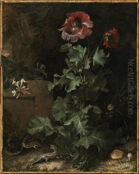 Still Life with Snake and Lizard - view 1