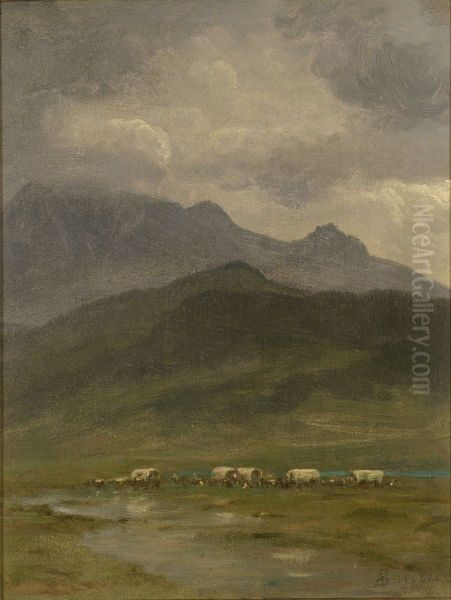 Covered wagons - view 1