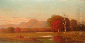 Summer Afternoon