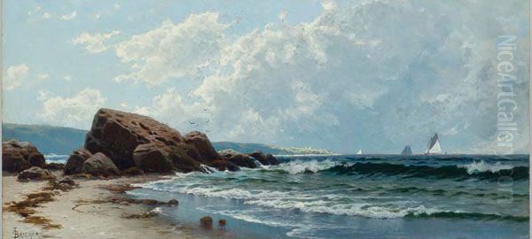 Low Tide, Hetherington's Cove, Grand Manan - view 1