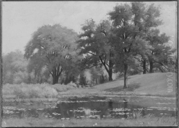 Landscape - view 1