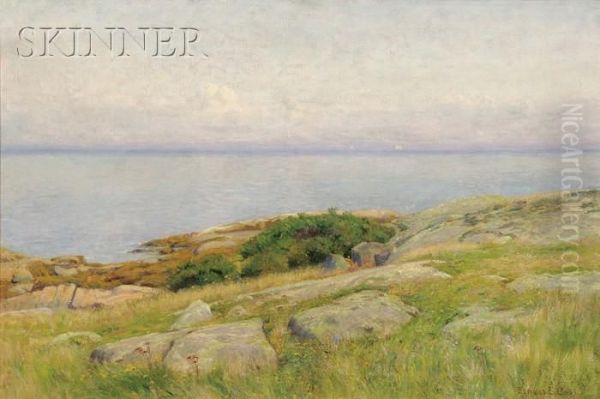 Coastal View - view 1