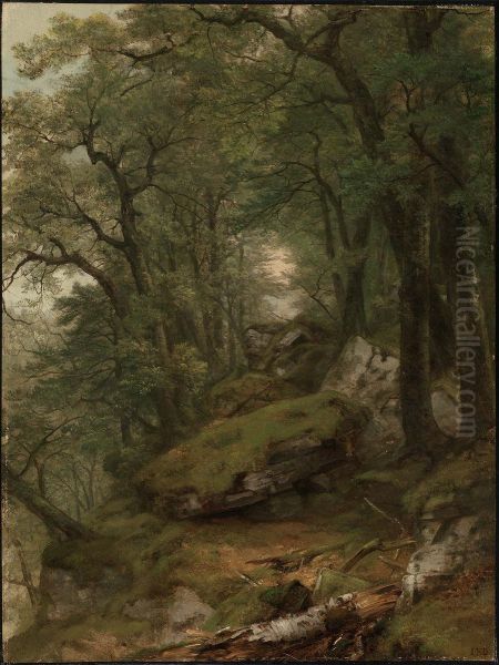 Woodland Interior - view 1