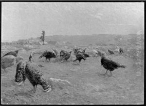 Turkey Pasture Turkey Pasture