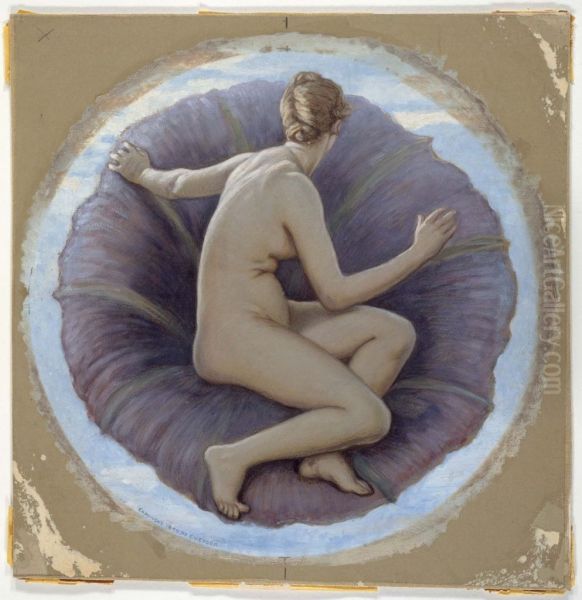 The Morning Glory - view 1