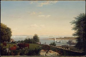 Gloucester from Brookbank