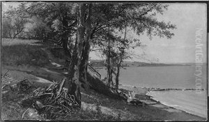 On the Lake Shore On the Lake Shore