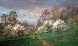 Macieiras em flor