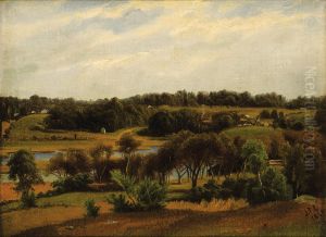 Rural Landscape Rural Landscape