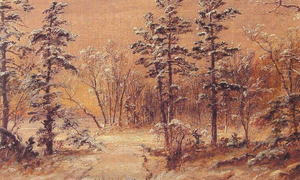Winter - Woodland - view 1