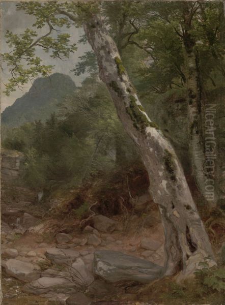 A Sycamore Tree, Plaaterkill Clove (The Sycamore, Kaaterskill Clove) - view 1