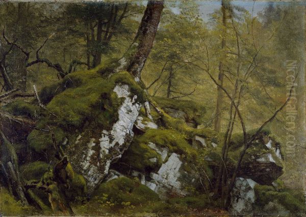 Study of a Wood Interior - view 1