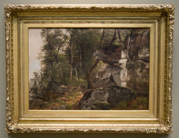 Trees on a Rocky Hillside - view 1