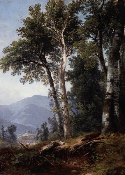 Woodland Landscape - view 1