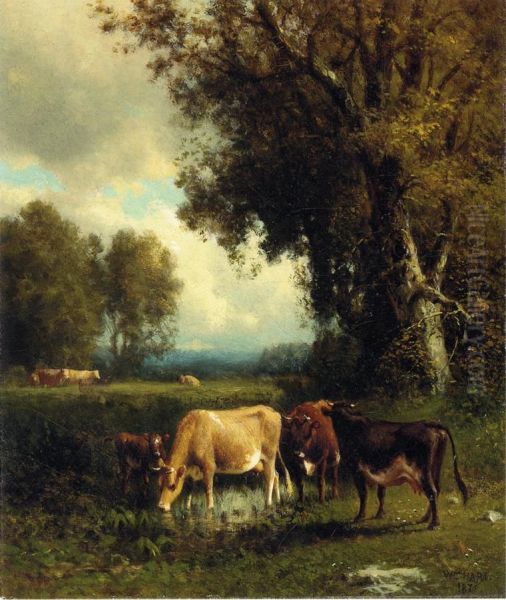 Cows in the Meadow - view 1