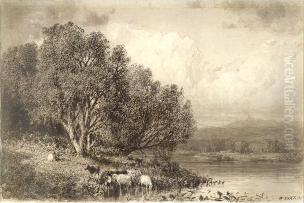 Grazing by the River - view 1