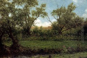Brookside (Asters In A Field) by Martin Johnson Heade