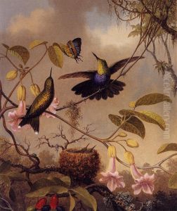 Fort-Tailed WoodnymphThalurania furcata