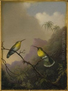 "Copper-tailed Amazili"