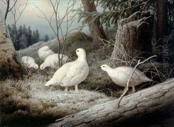 Ptarmigans - view 1