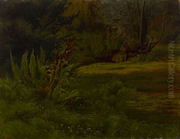 Lampi metsassa, harjoitelma - view 1