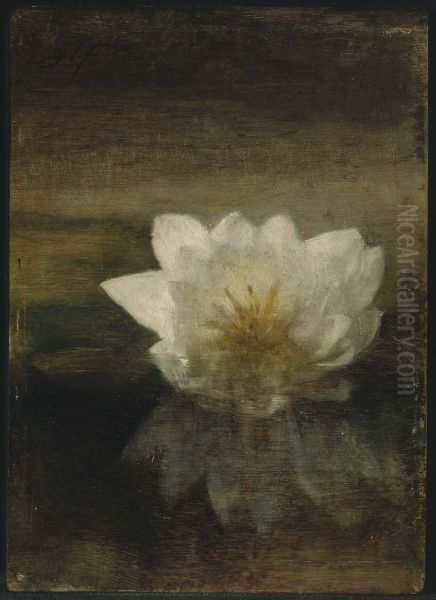 Water Lily - view 1