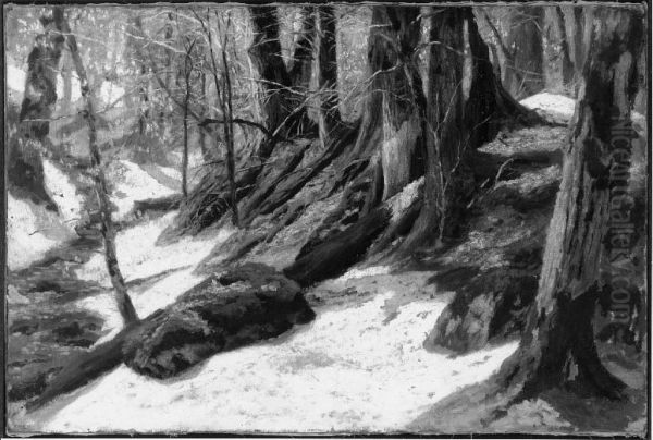 Wood Interior - view 1