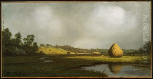 Salt Marshes, Newburyport, Massachusetts - view 1