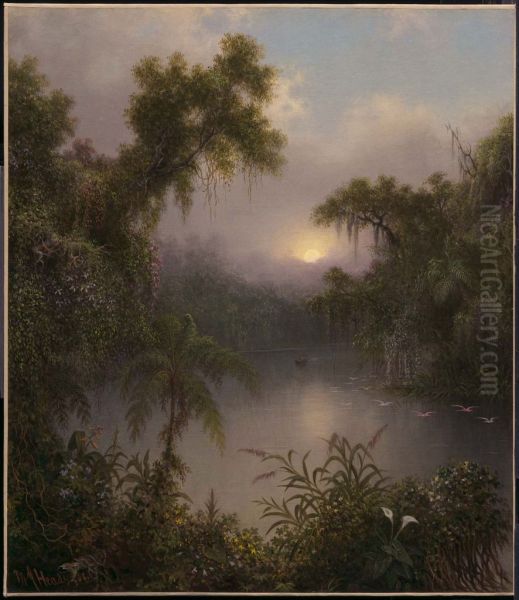 South American River - view 1